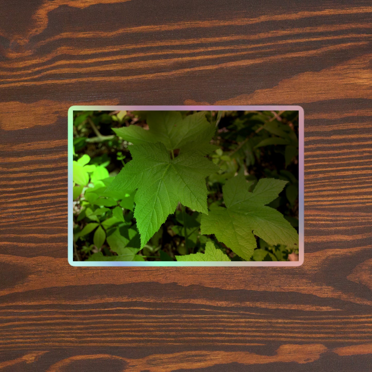 Lifestyle photo of a rectangular holographic sticker with a close-up image of light green blackberry leaves, placed on a brown wooden table surface.