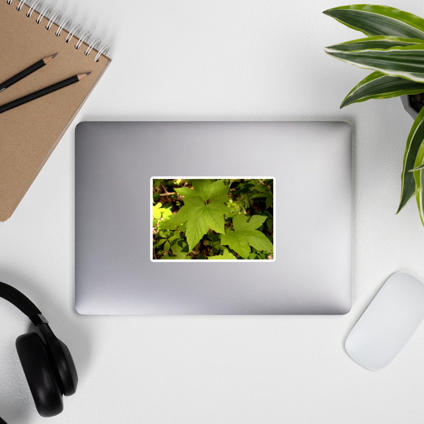 Lifestyle photo of a rectangular vinyl sticker with an image of light green blackberry leaves on a forest floor, placed on the outside of a laptop.