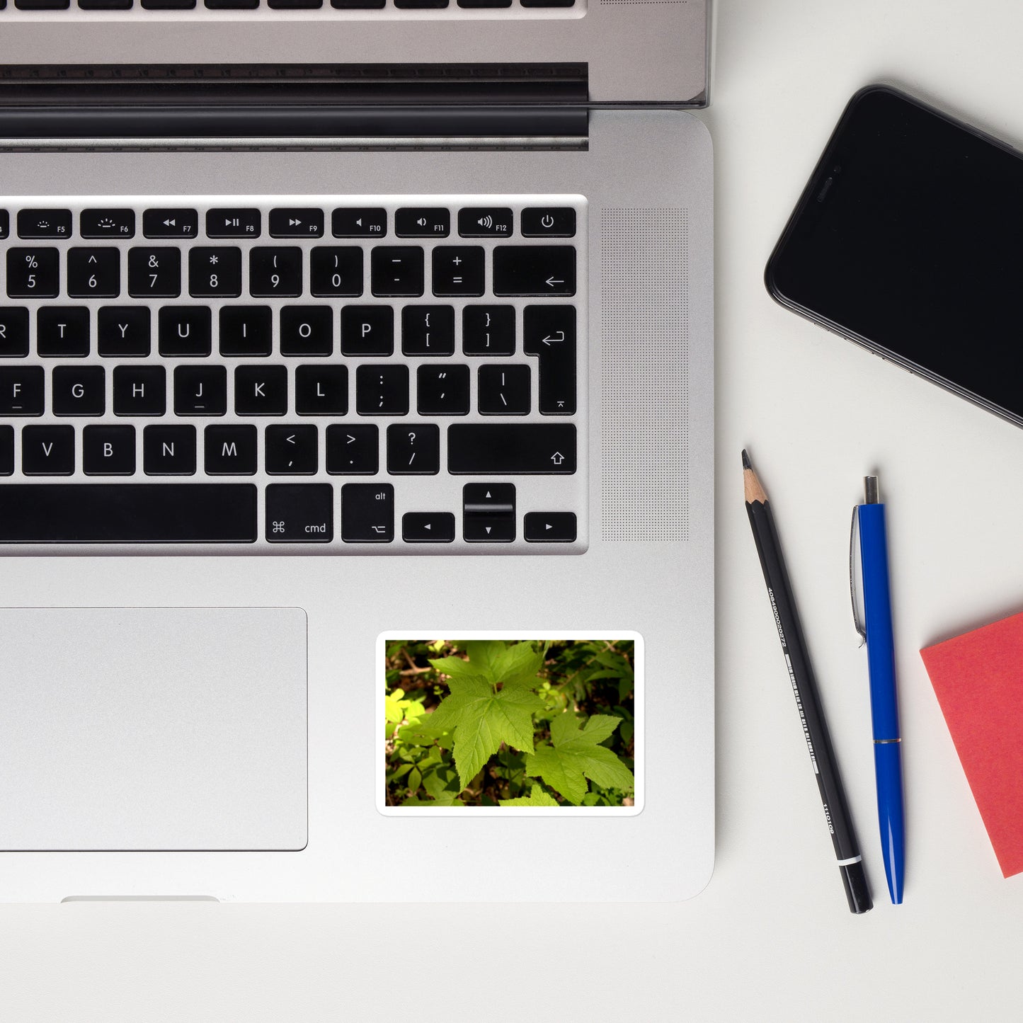 Lifestyle photo of a rectangular vinyl sticker with an image of light green blackberry leaves on a forest floor, placed on a laptop to the right of the mouse pad.