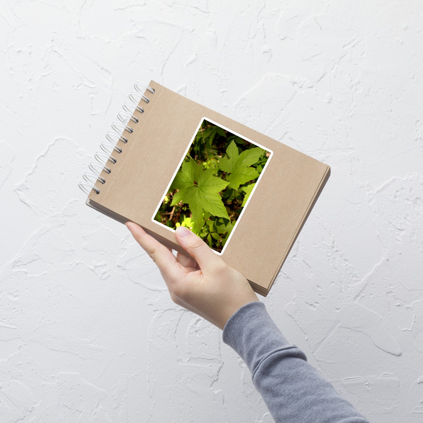 Lifestyle photo of a rectangular vinyl sticker with an image of light green blackberry leaves on a forest floor, placed on a small notepad.