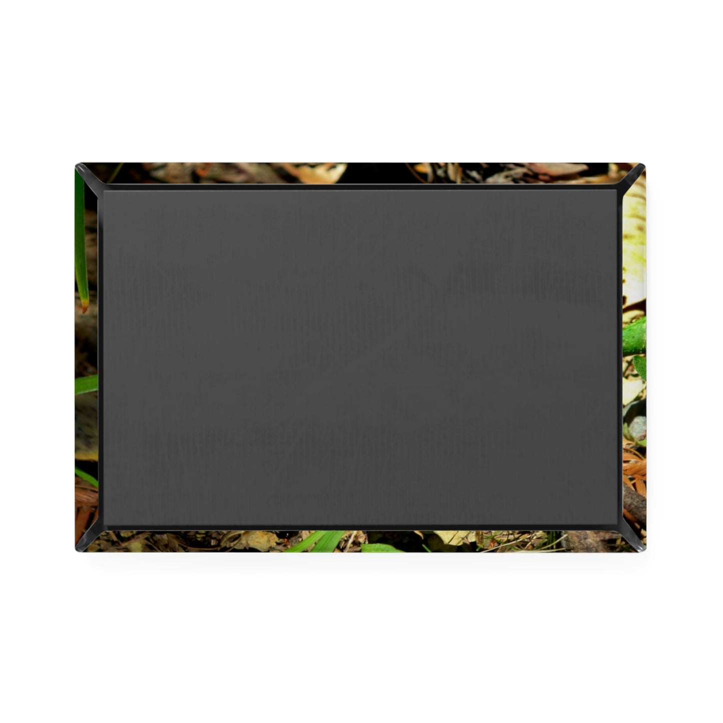 Back view of a rectangular button magnet.