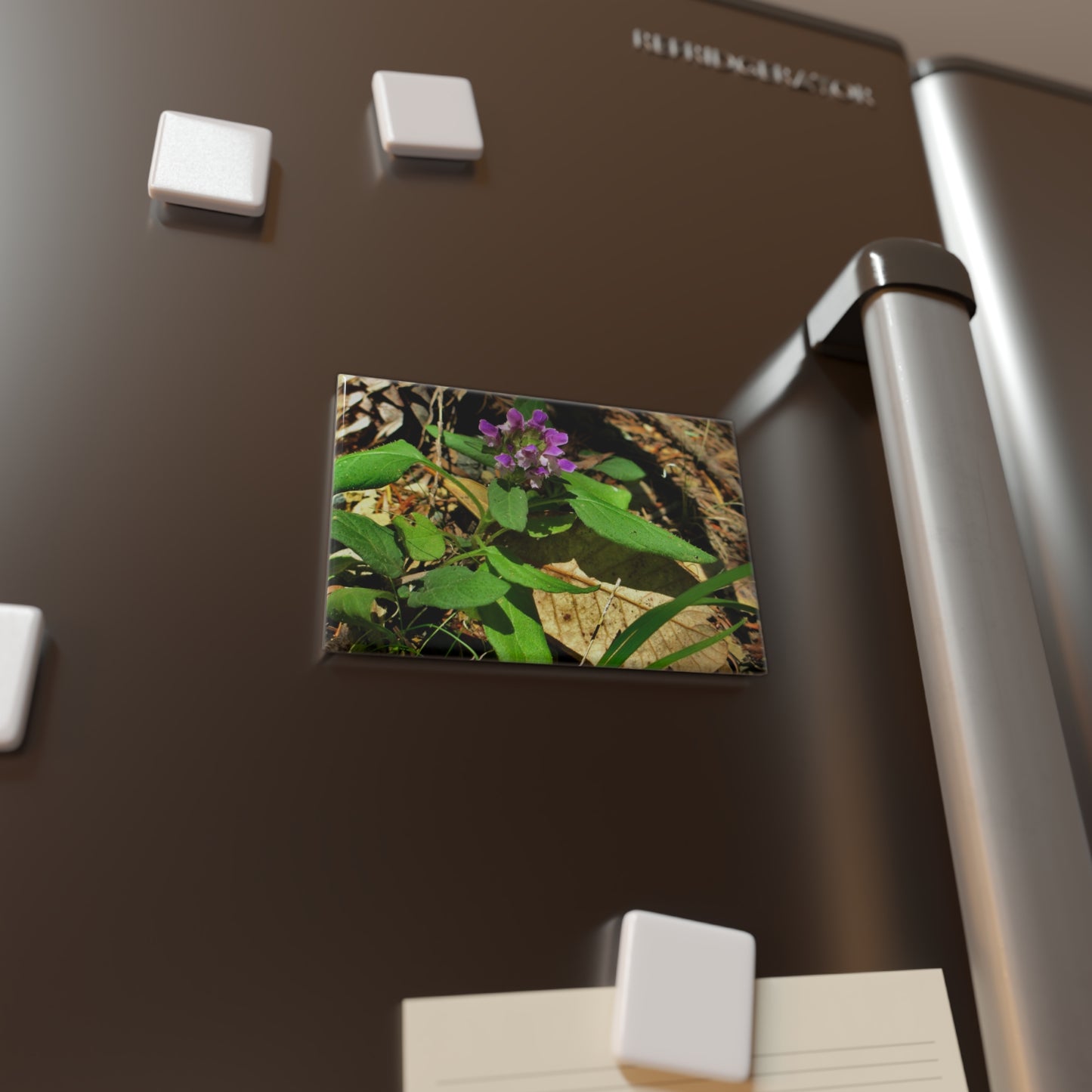 Lifestyle photo of a rectangular button magnet featuring a purple heal-all flower in a woodland setting with green leaves and brown foliage in the background, placed on a fridge.