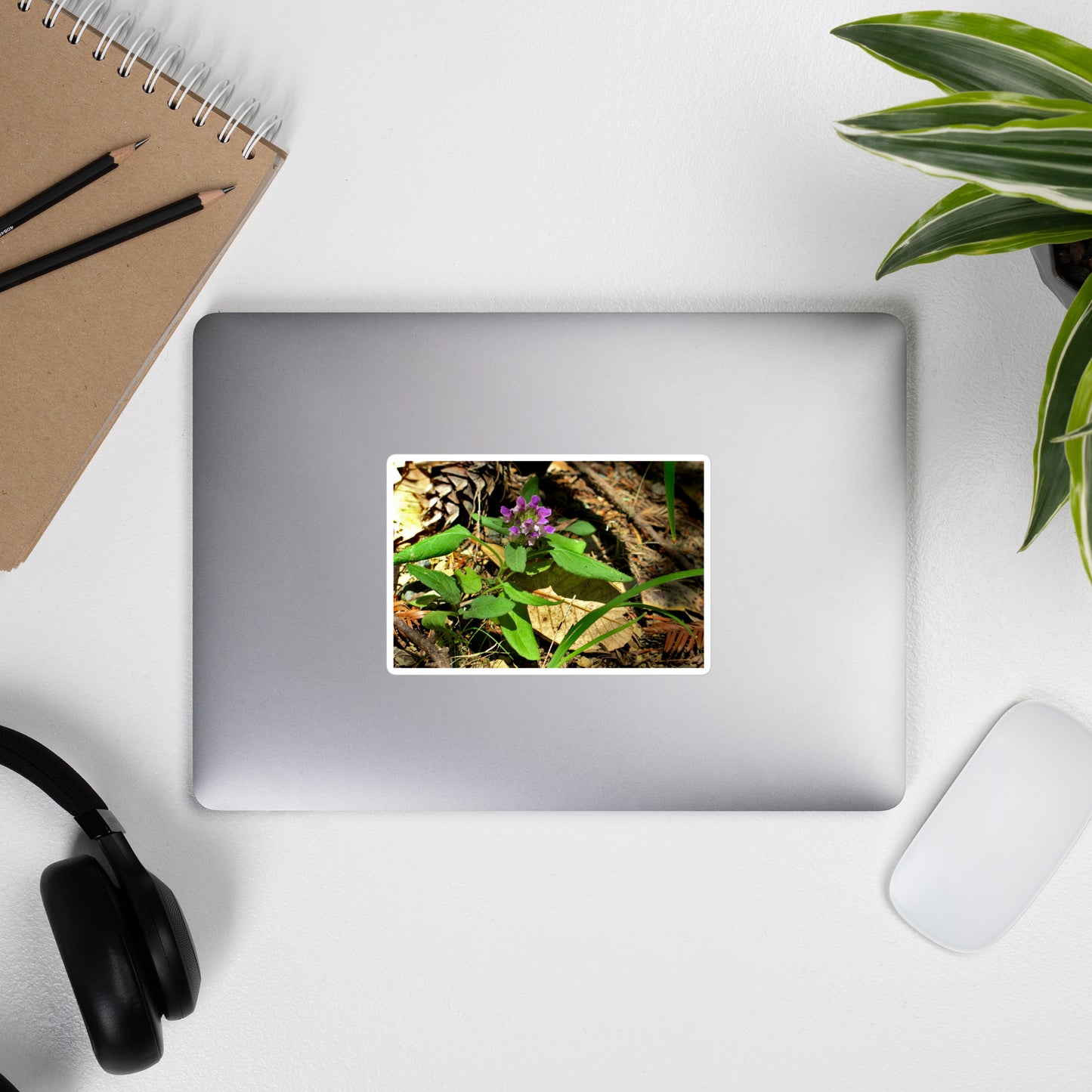 Lifestyle photo of a rectangular vinyl sticker with an image of a purple wild flower in a forest floor, placed on the outside of a laptop.