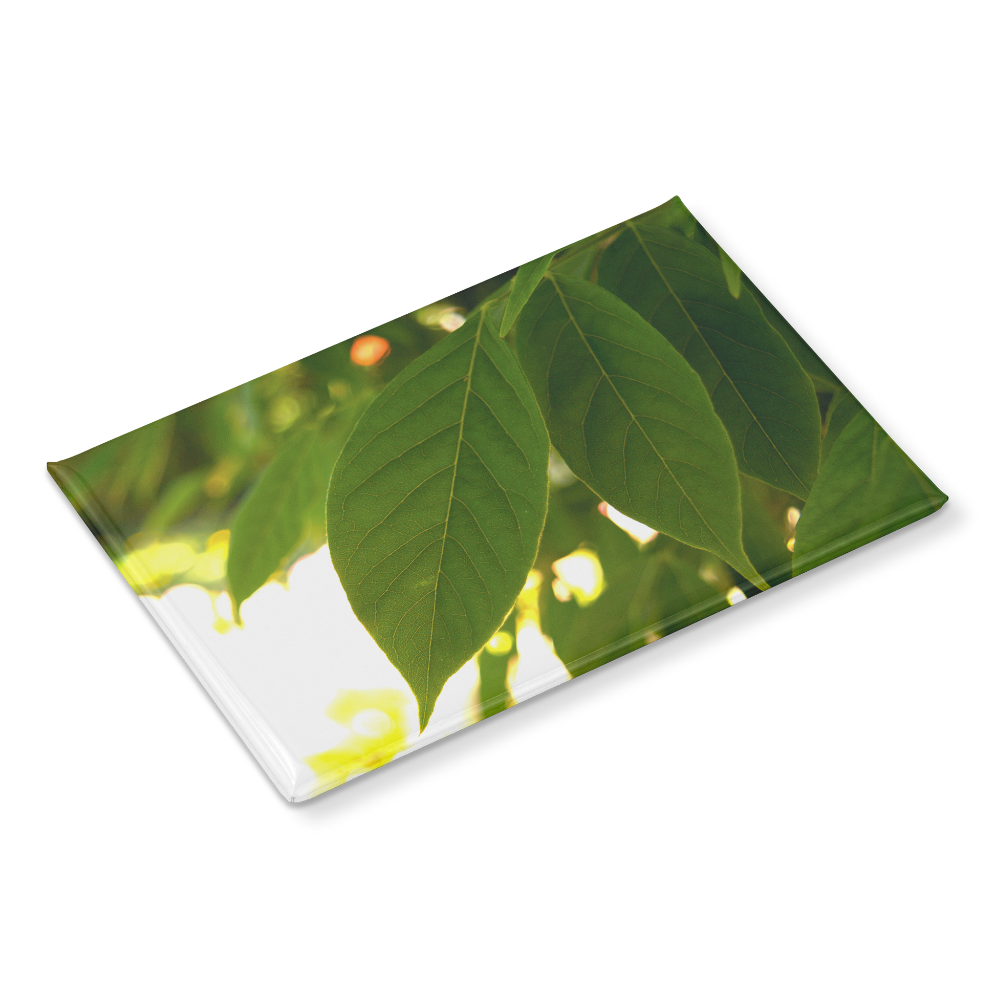 Backlit_Leaves_with_Stunning_Vein_Detail_RectangleButtonMagnet_H_Angle_Mockup.png