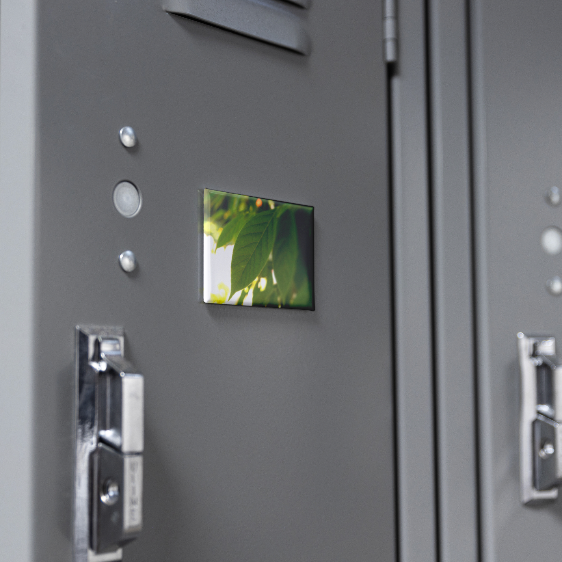 Backlit_Leaves_with_Stunning_Vein_Detail_RectangleButtonMagnet_H_Locker_Mockup.png