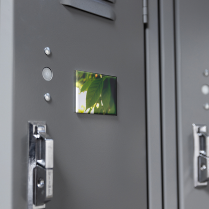 Backlit_Leaves_with_Stunning_Vein_Detail_RectangleButtonMagnet_H_Locker_Mockup.png
