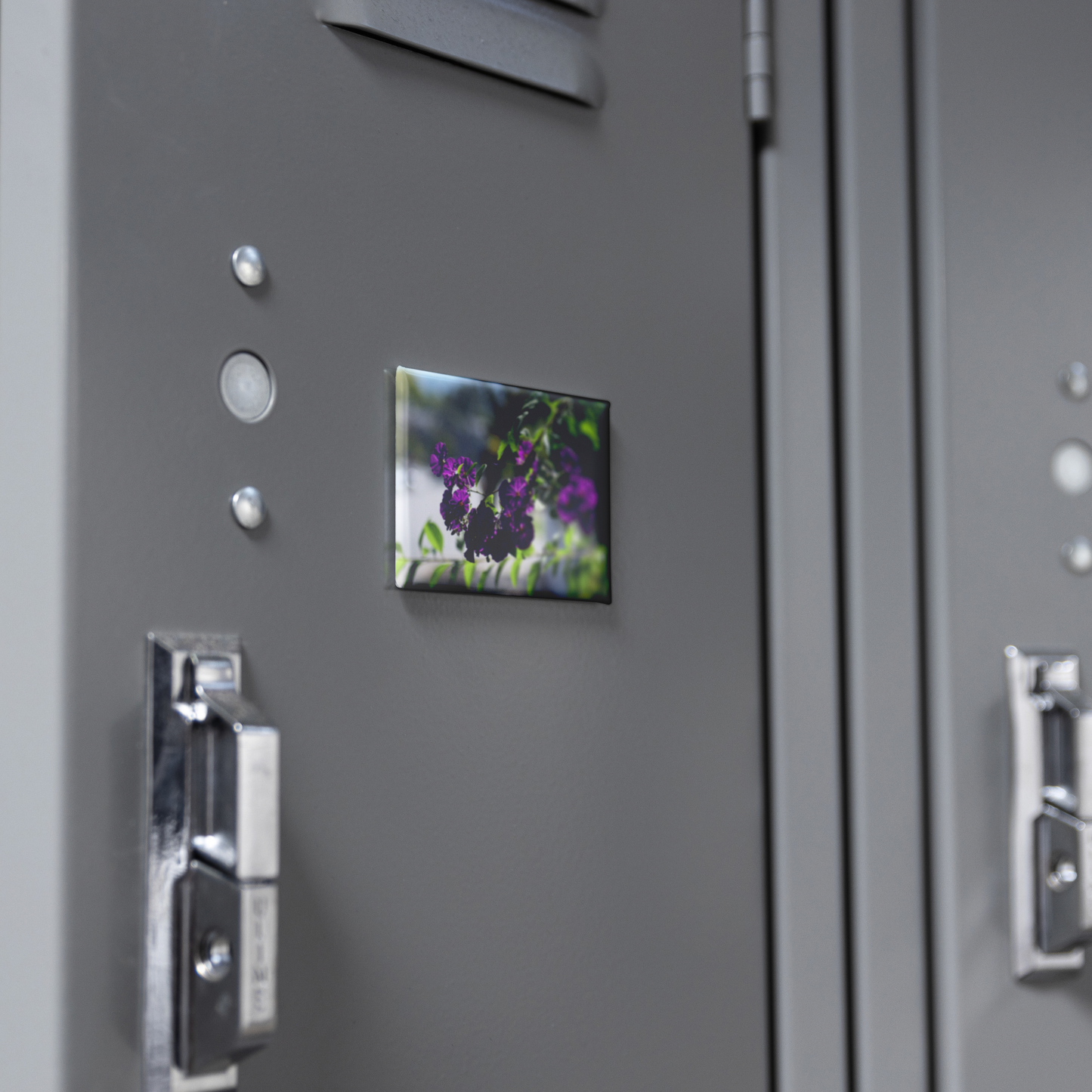 Blue_Potato_Bush_in_Full_Bloom_Rectangu_RectangleButtonMagnet_H_Locker_Mockup.png