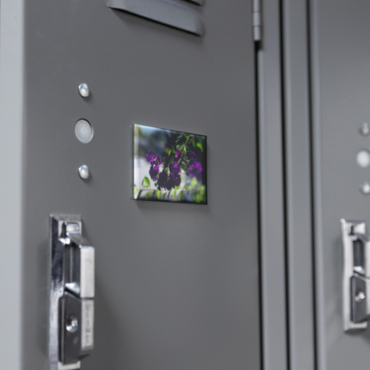 Blue_Potato_Bush_in_Full_Bloom_Rectangu_RectangleButtonMagnet_H_Locker_Mockup.png