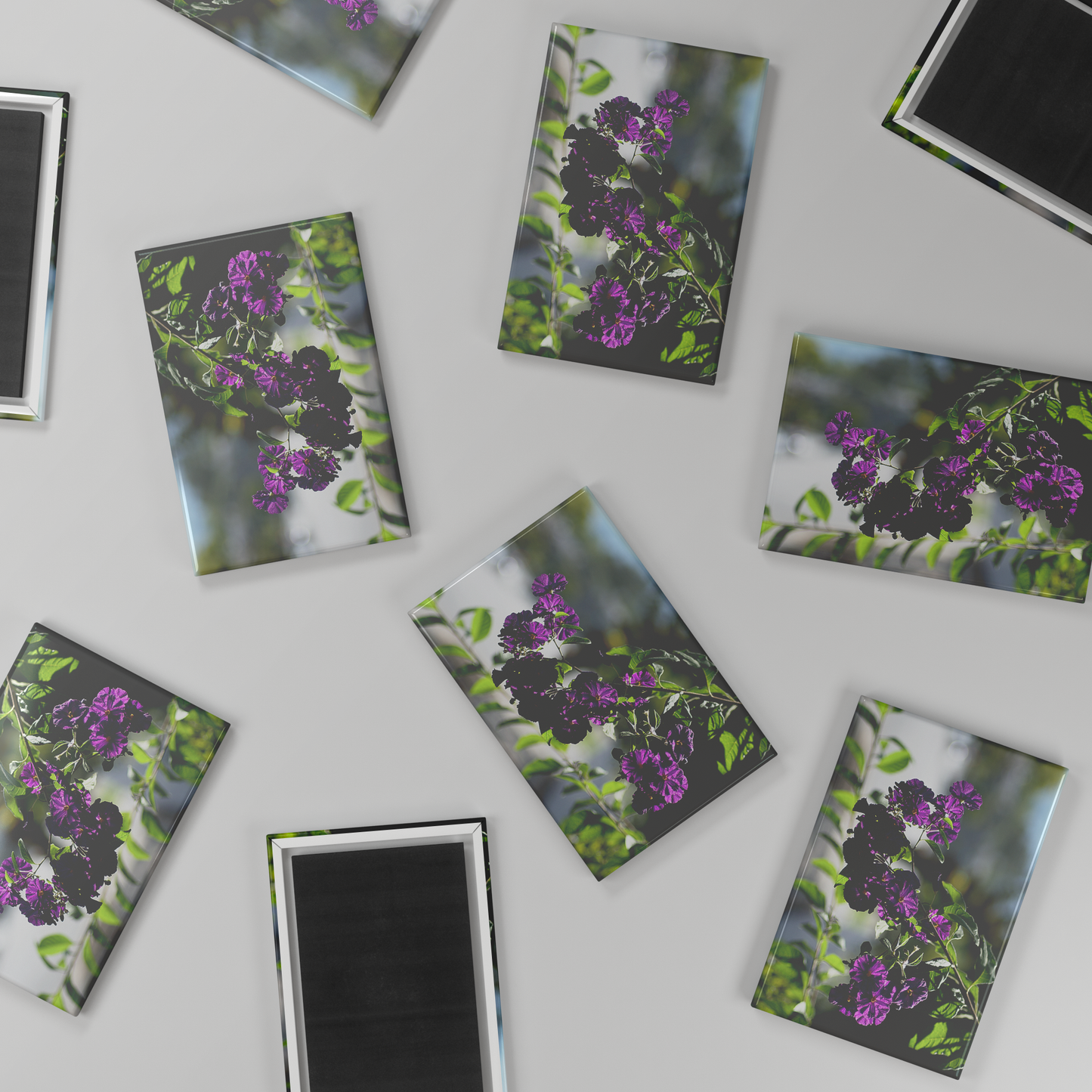 Blue_Potato_Bush_in_Full_Bloom_Rectangu_RectangleButtonMagnet_H_Scatter_Mockup.png