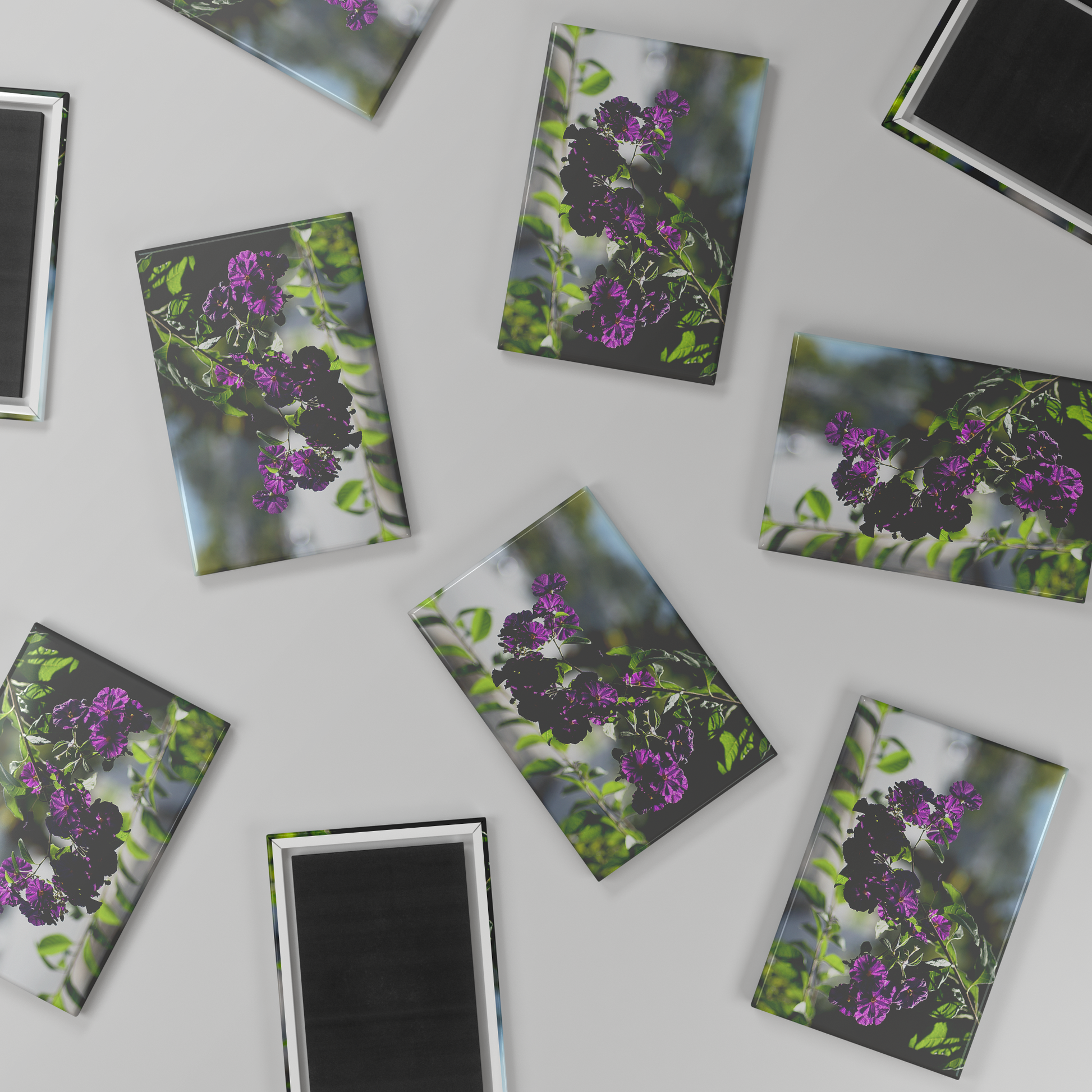 Blue_Potato_Bush_in_Full_Bloom_Rectangu_RectangleButtonMagnet_H_Scatter_Mockup.png