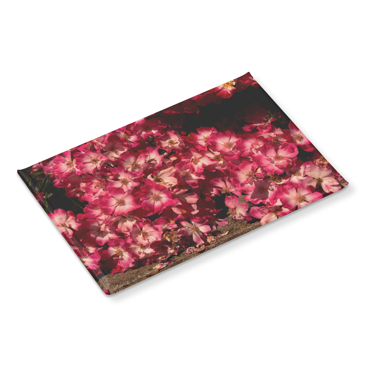 Blush_Pink_Roses_Cascading_to_the_Ground_RectangleButtonMagnet_H_Angle_Mockup.png
