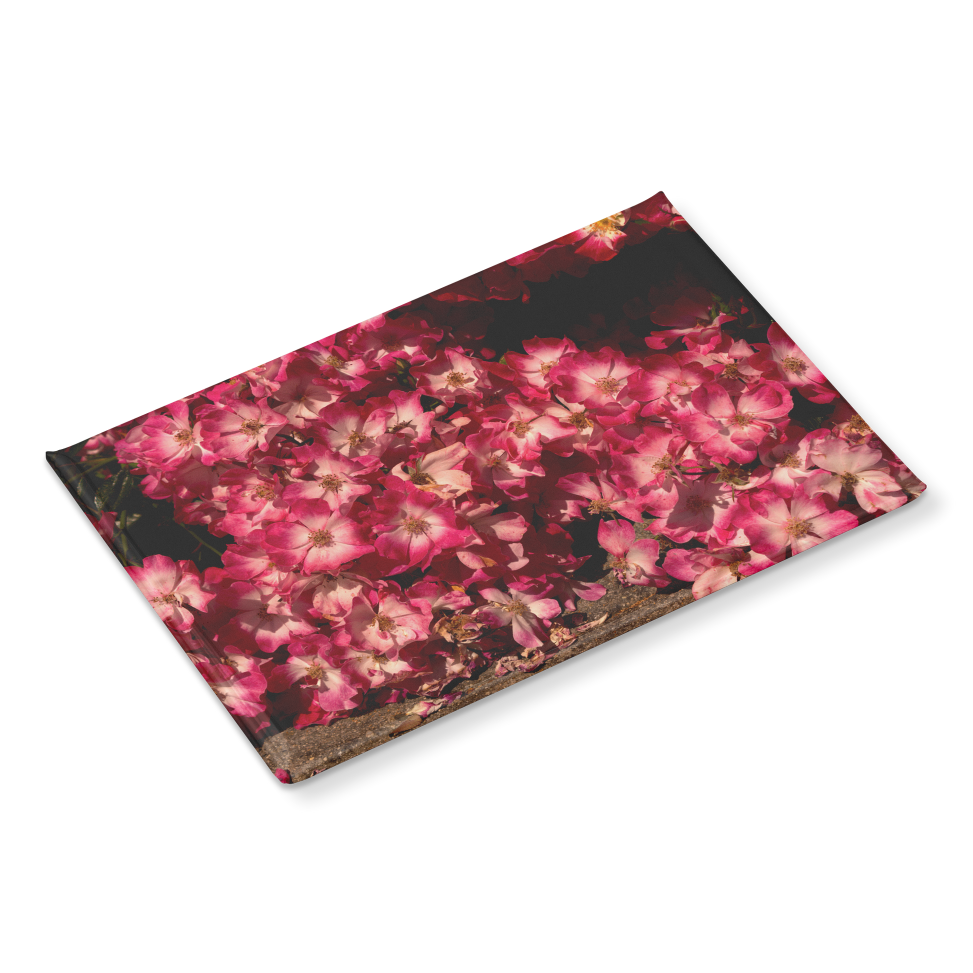 Blush_Pink_Roses_Cascading_to_the_Ground_RectangleButtonMagnet_H_Angle_Mockup.png