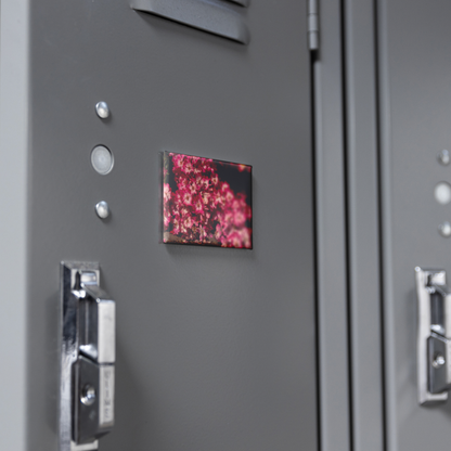 Blush_Pink_Roses_Cascading_to_the_Ground_RectangleButtonMagnet_H_Locker_Mockup.png