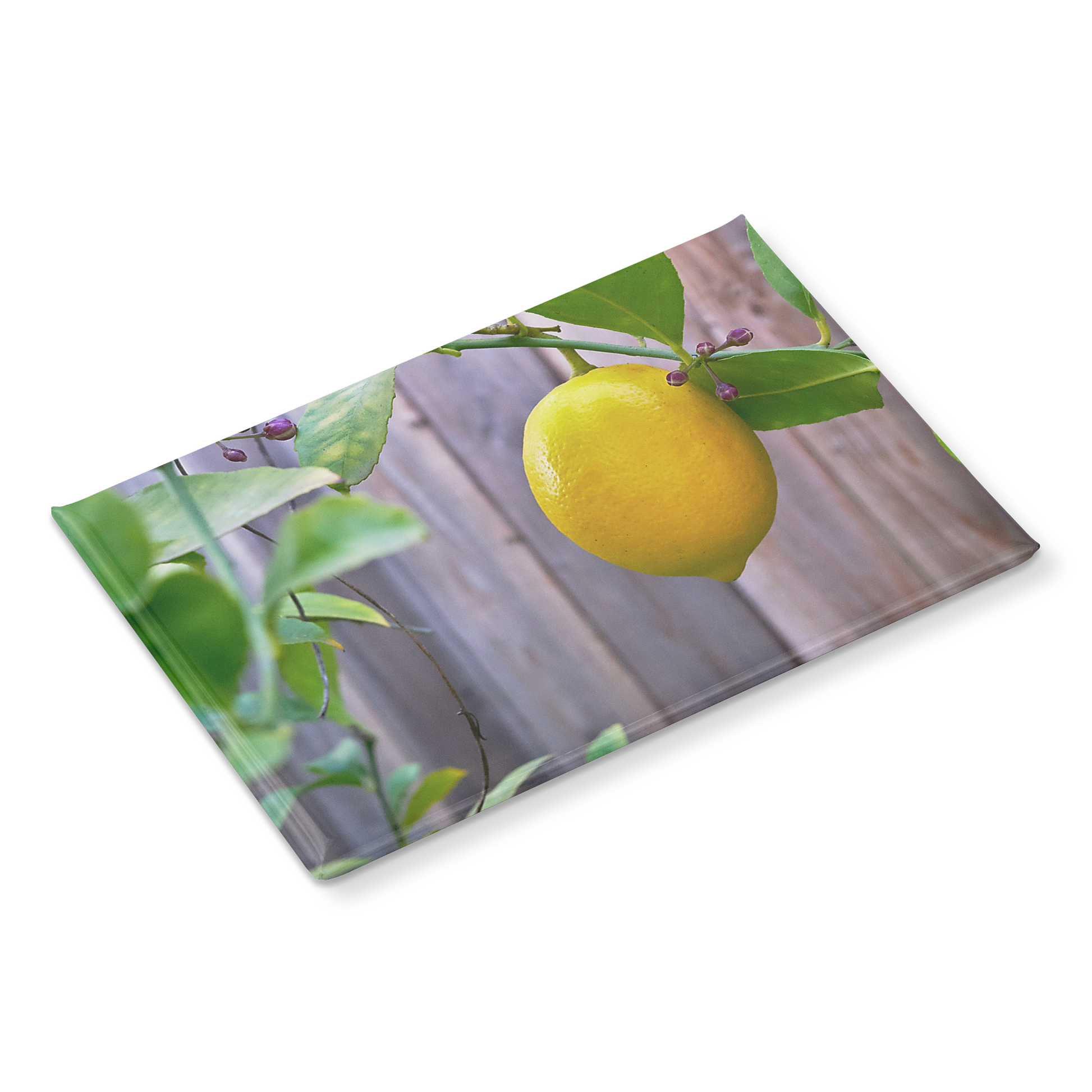 Bright_Yellow_Lemon_with_Budding_Branche_RectangleButtonMagnet_H_Angle_Mockup.png