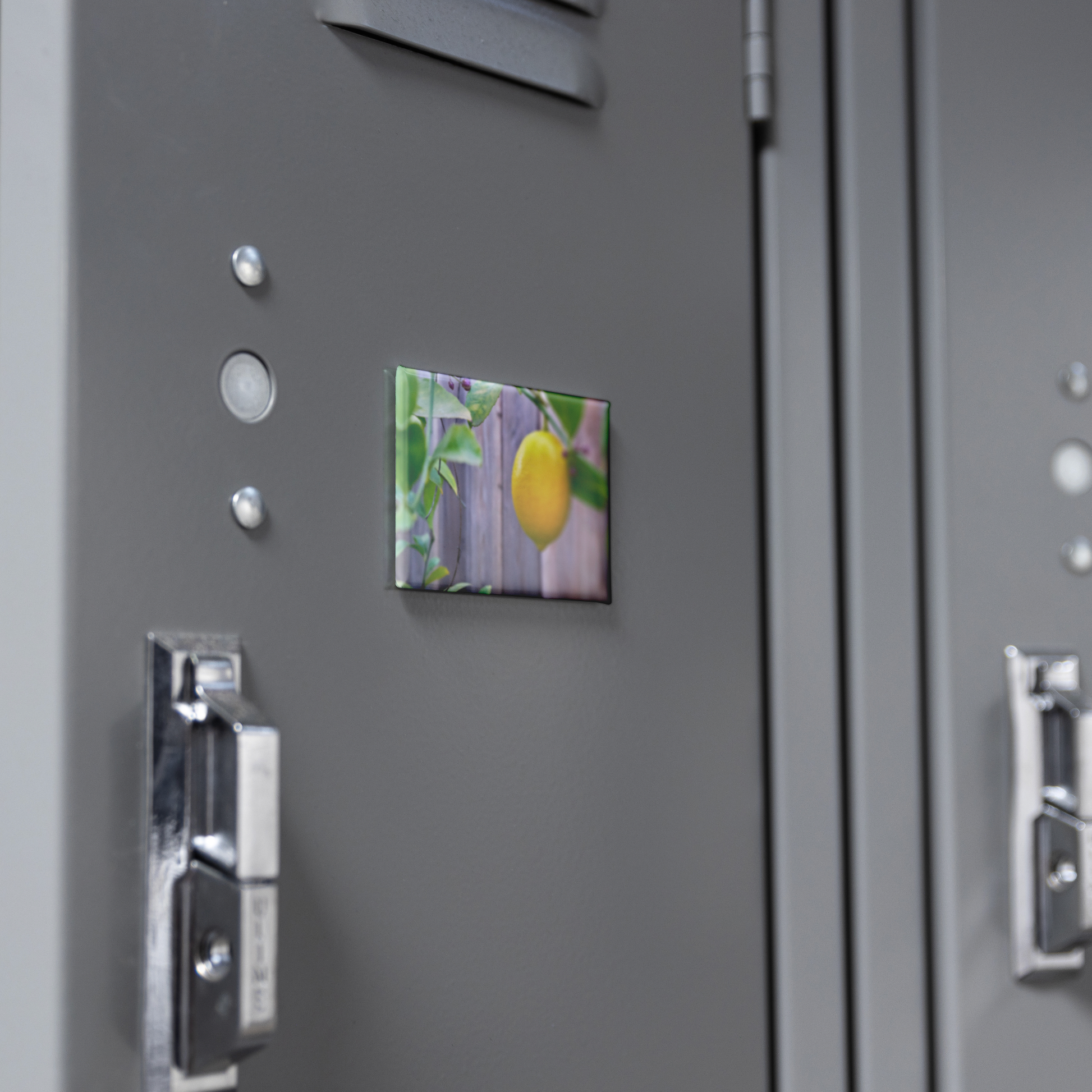 Bright_Yellow_Lemon_with_Budding_Branche_RectangleButtonMagnet_H_Locker_Mockup.png