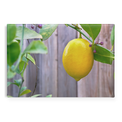 Bright_Yellow_Lemon_with_Budding_Branche_RectangleButtonMagnet_H_Main_AS_Mockup.png