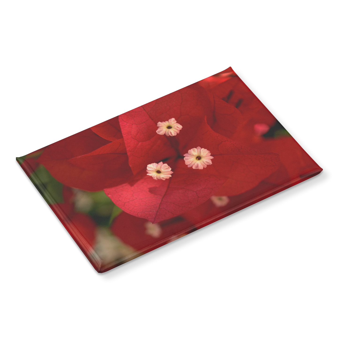Brilliant_Red_Bougainvillea_Bloom_Close-_RectangleButtonMagnet_H_Angle_Mockup.png