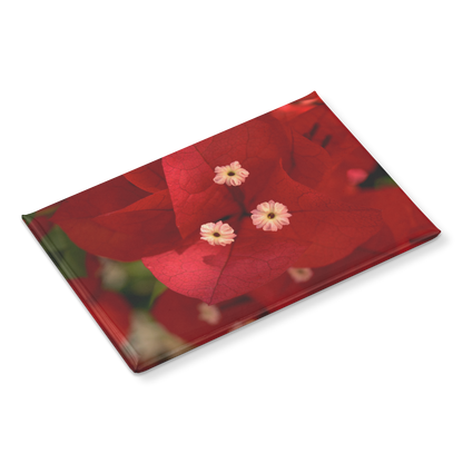 Brilliant_Red_Bougainvillea_Bloom_Close-_RectangleButtonMagnet_H_Angle_Mockup.png