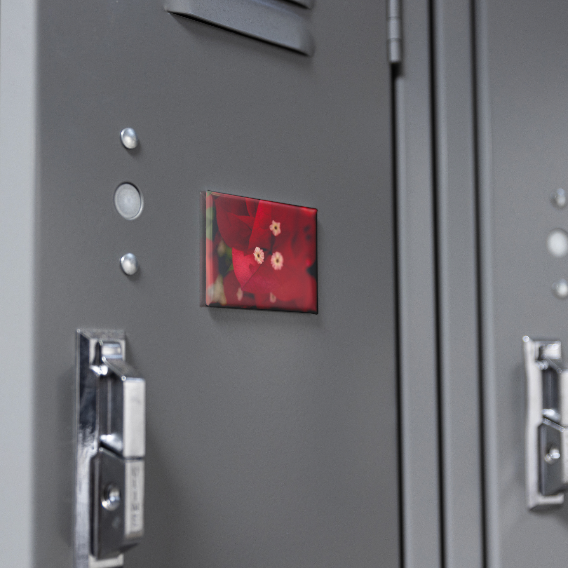 Brilliant_Red_Bougainvillea_Bloom_Close-_RectangleButtonMagnet_H_Locker_Mockup.png
