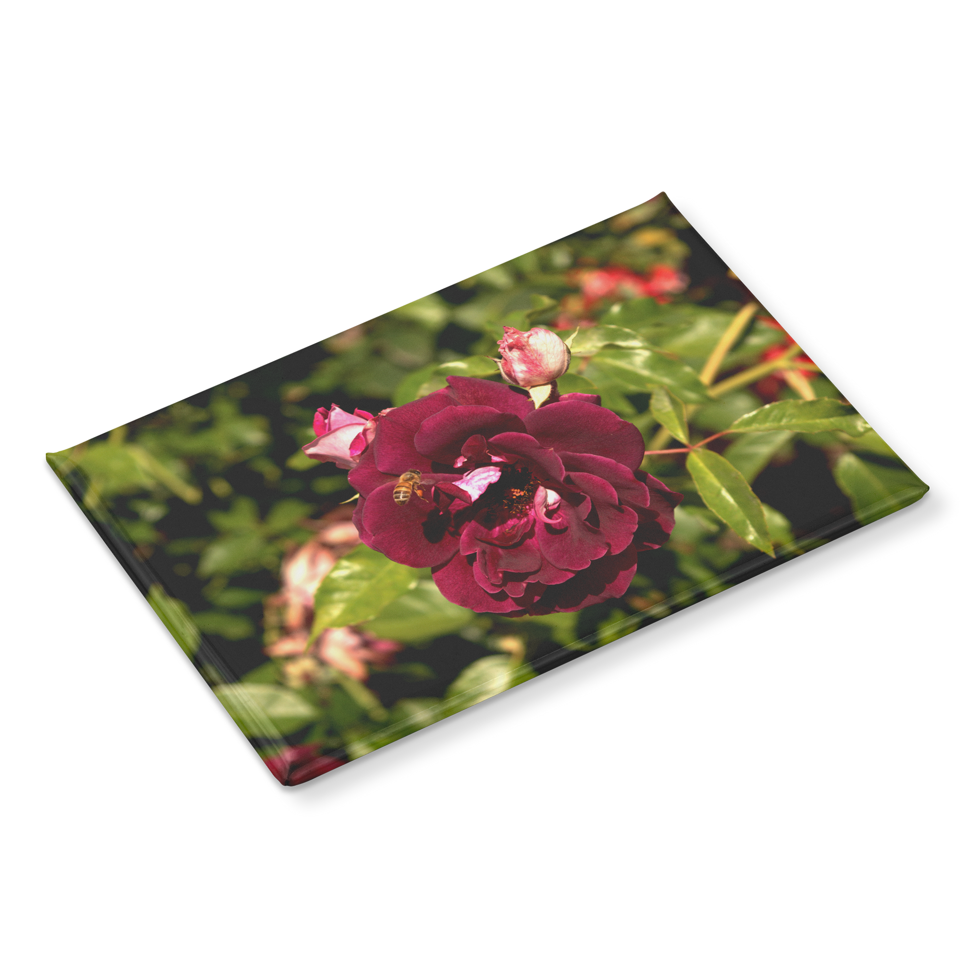 Burgundy_Rose_Bloom_with_Honeybee_Recta_RectangleButtonMagnet_H_Angle_Mockup.png