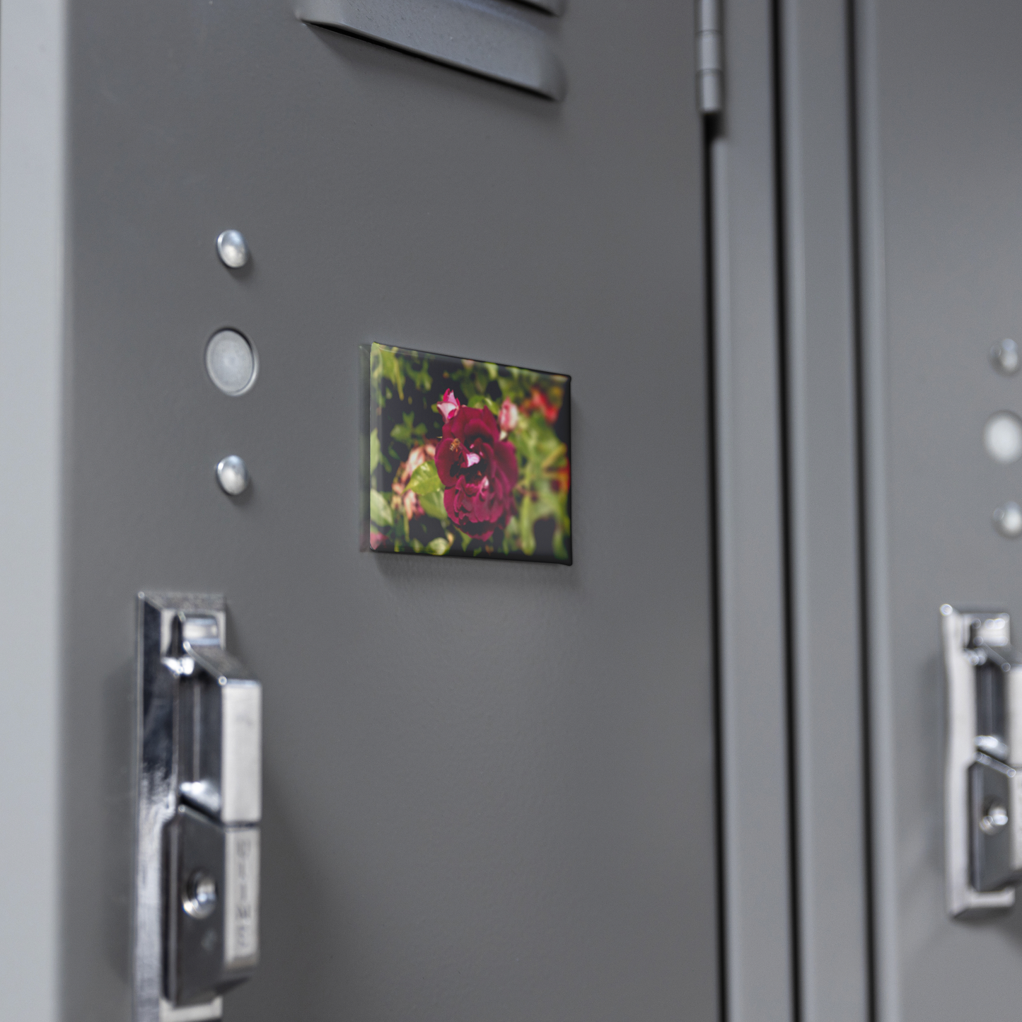 Burgundy_Rose_Bloom_with_Honeybee_Recta_RectangleButtonMagnet_H_Locker_Mockup.png