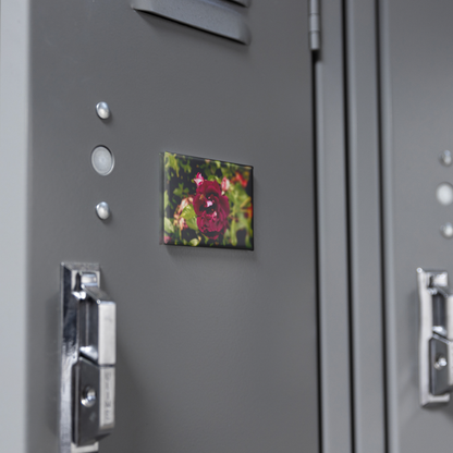 Burgundy_Rose_Bloom_with_Honeybee_Recta_RectangleButtonMagnet_H_Locker_Mockup.png