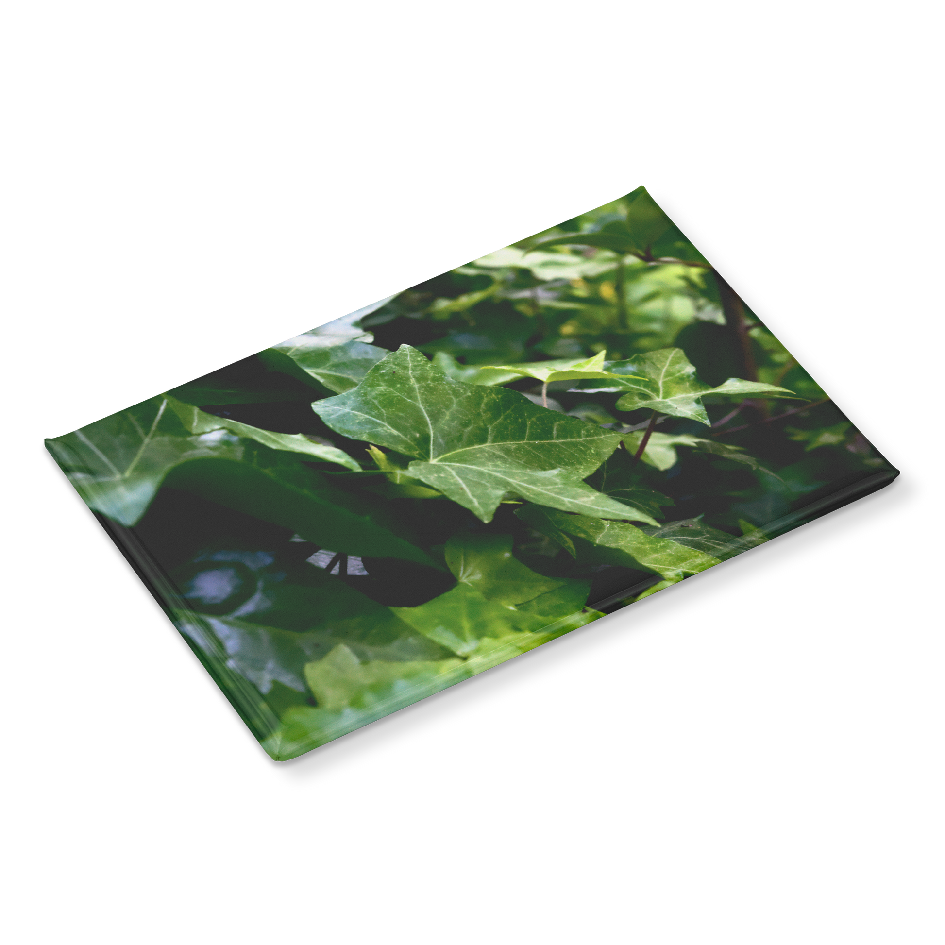 Cascading_Green_Ivy_Leaves_Rectangular__RectangleButtonMagnet_H_Angle_Mockup.png
