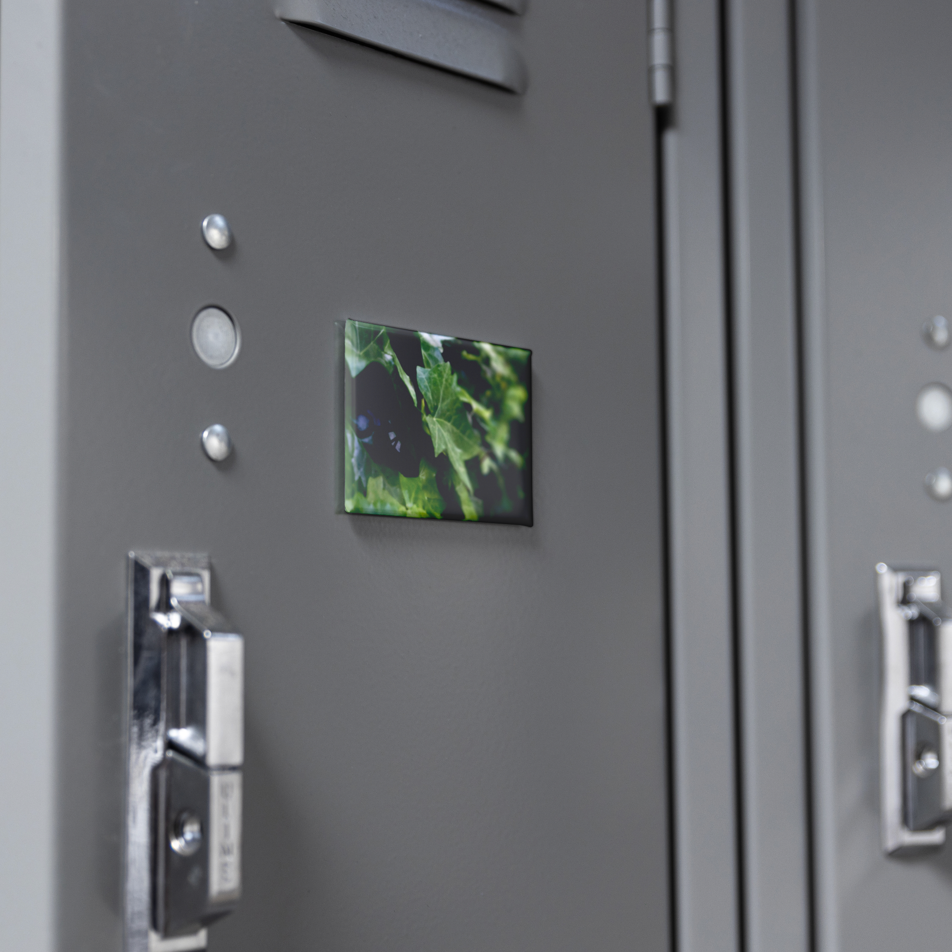 Cascading_Green_Ivy_Leaves_Rectangular__RectangleButtonMagnet_H_Locker_Mockup.png