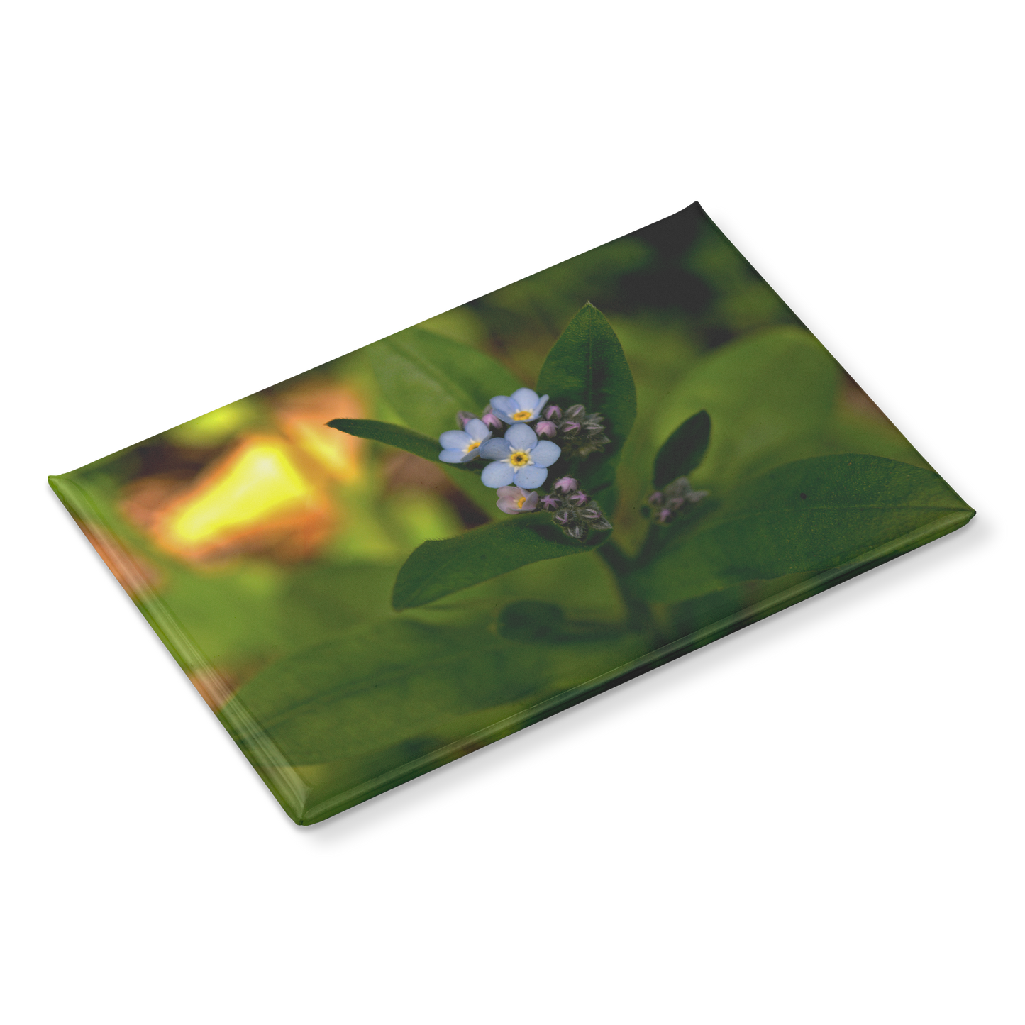 Charming_Blue_Forget-Me-Not_Cluster_Rec_RectangleButtonMagnet_H_Angle_Mockup.png