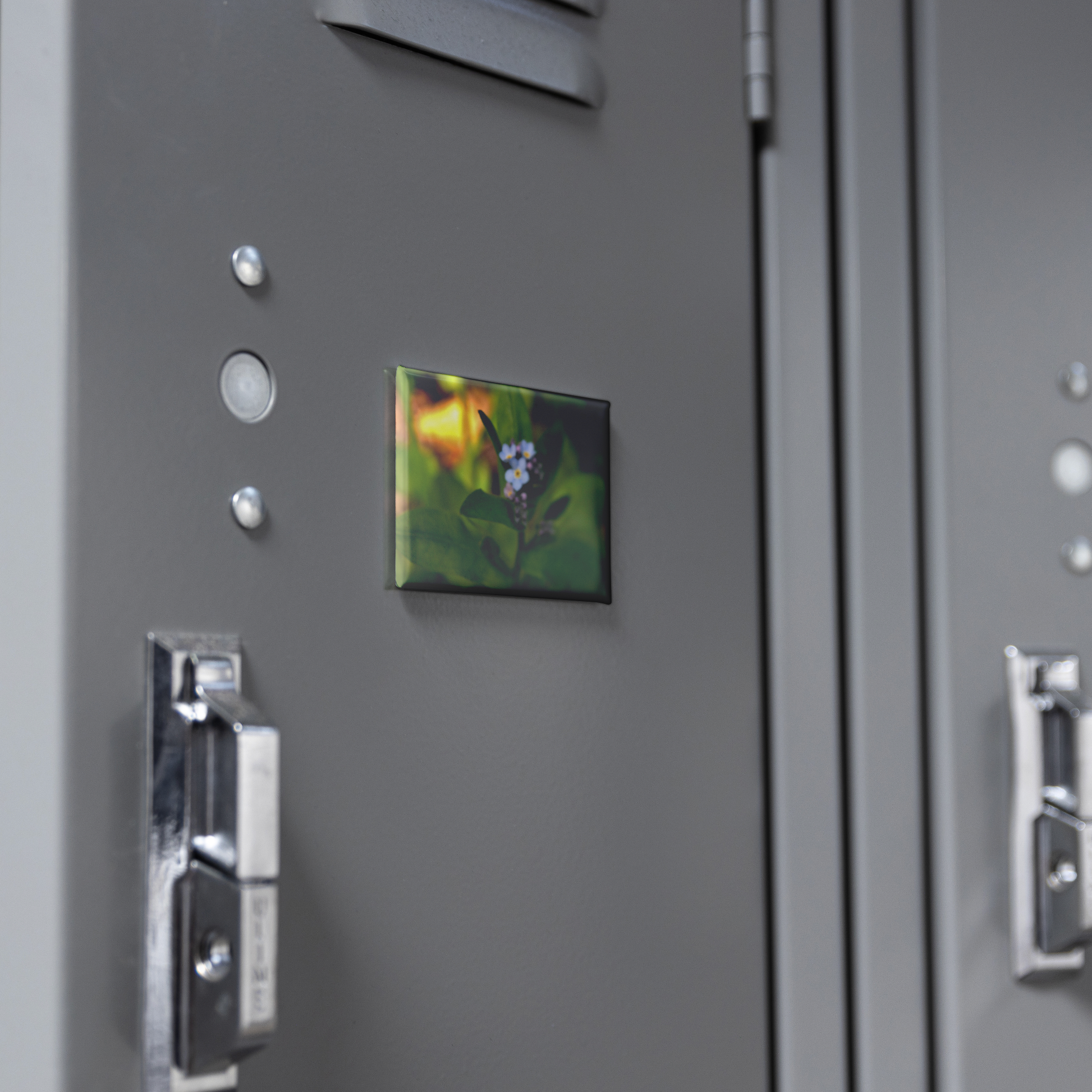 Charming_Blue_Forget-Me-Not_Cluster_Rec_RectangleButtonMagnet_H_Locker_Mockup.png