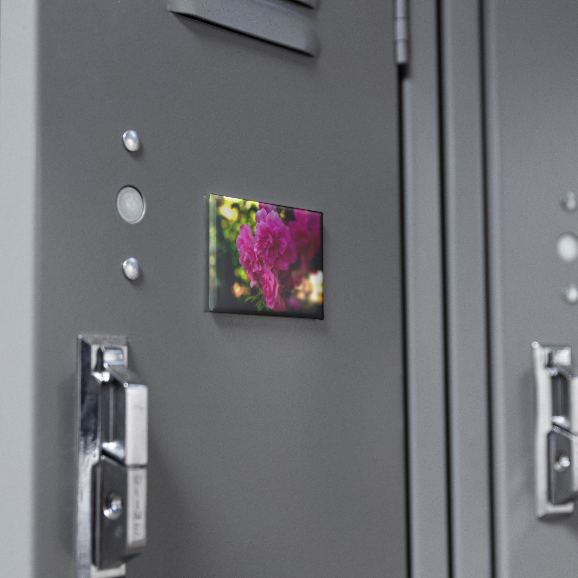 Cheerful_Pink_Roses_Blooming_in_the_Gard_RectangleButtonMagnet_H_Locker_Mockup.png
