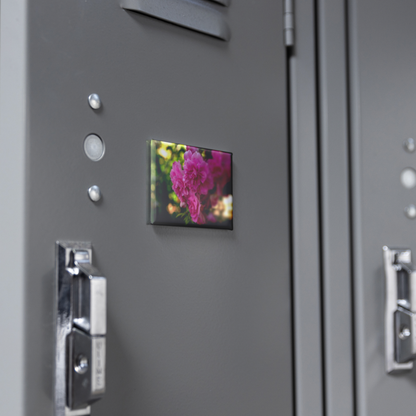 Cheerful_Pink_Roses_Blooming_in_the_Gard_RectangleButtonMagnet_H_Locker_Mockup.png