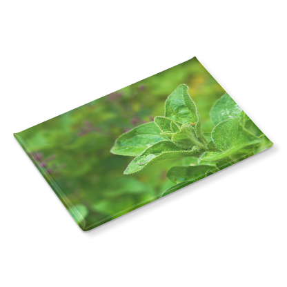 Close-Up_of_Aromatic_Oregano_Sprigs_Rec_RectangleButtonMagnet_H_Angle_Mockup.png