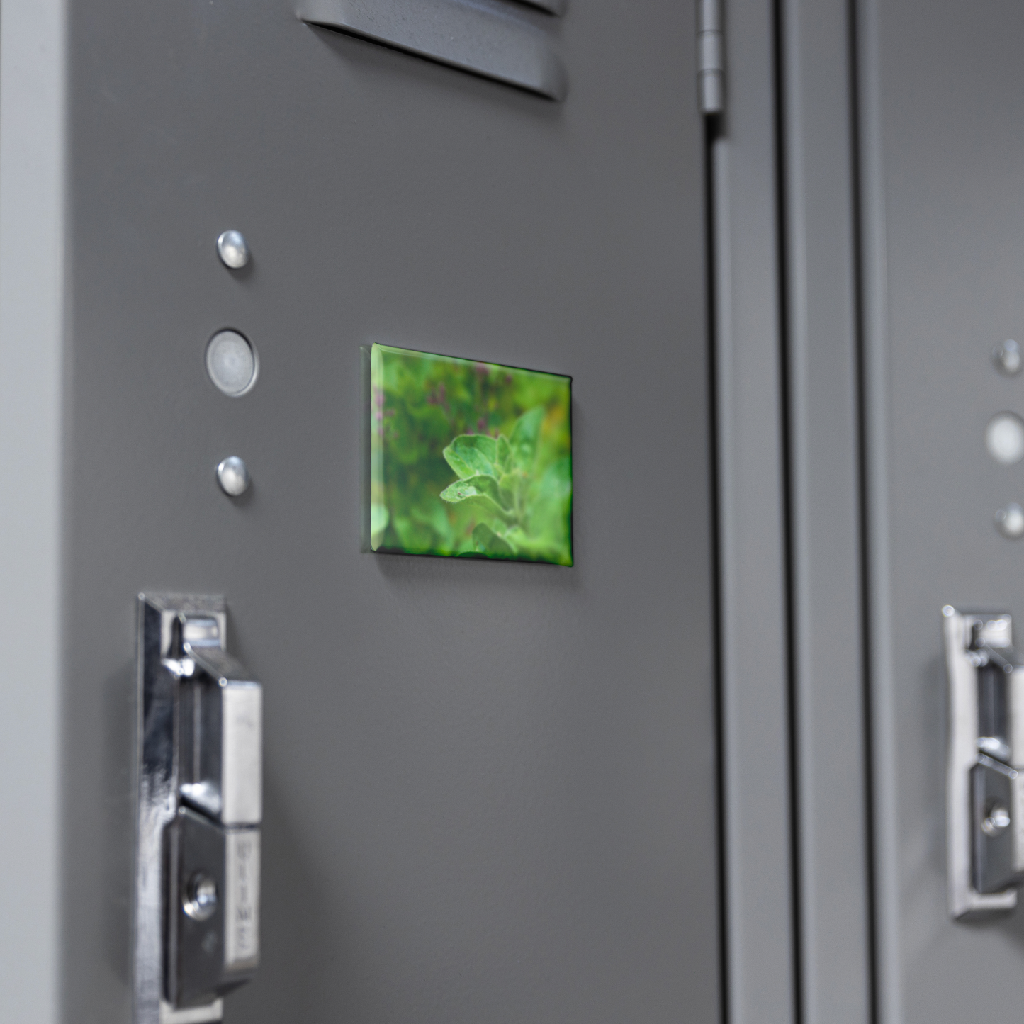 Close-Up_of_Aromatic_Oregano_Sprigs_Rec_RectangleButtonMagnet_H_Locker_Mockup.png