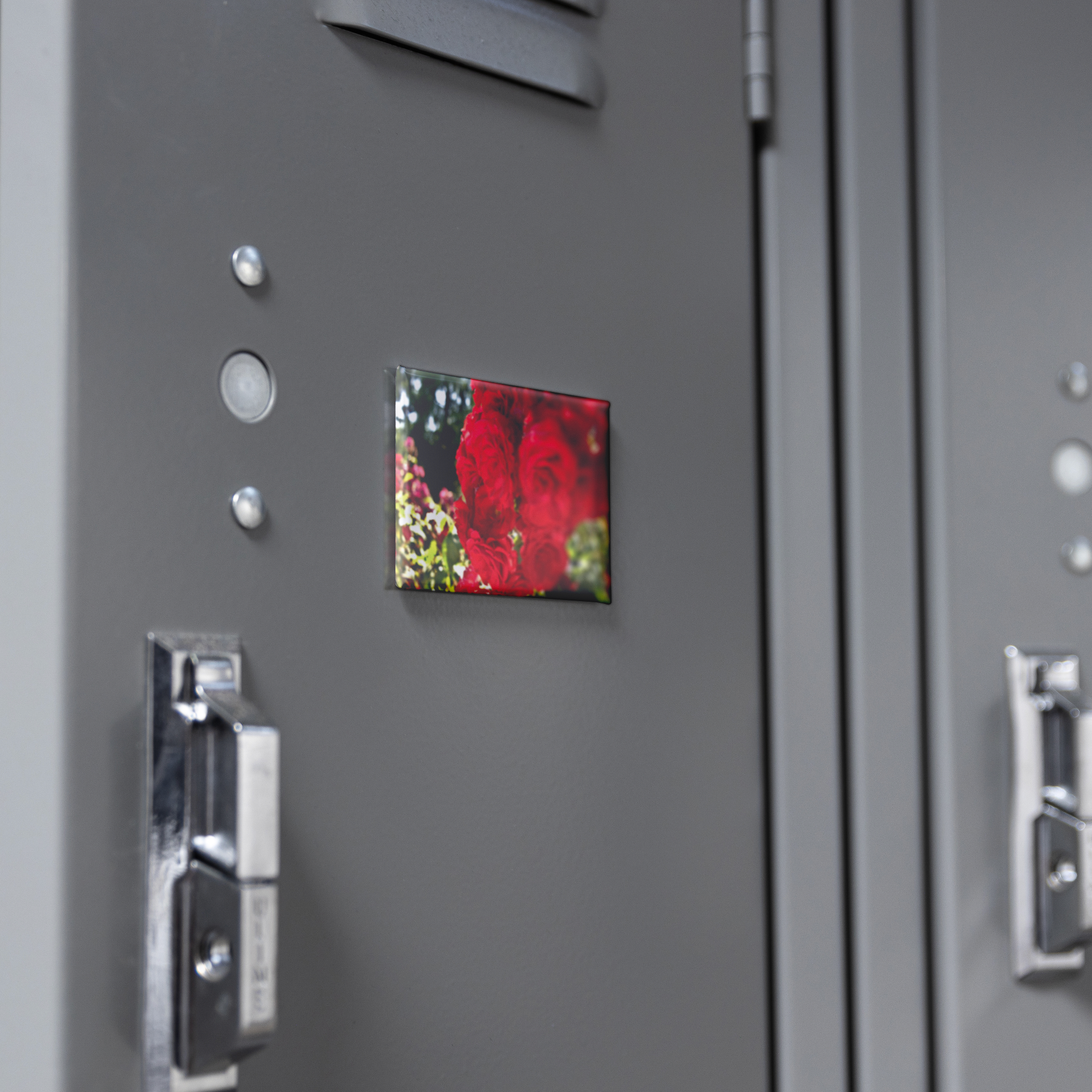 Close-Up_of_Sunlit_Crimson_Roses_Rectan_RectangleButtonMagnet_H_Locker_Mockup.png
