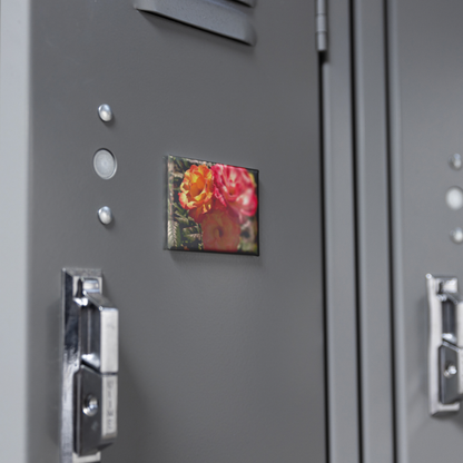 Close-Up_of_Three_Multicolored_Roses_Re_RectangleButtonMagnet_H_Locker_Mockup.png
