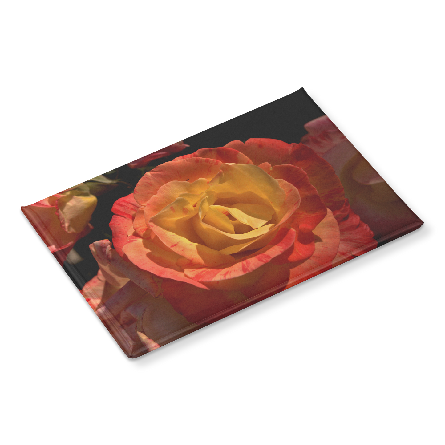 Close-Up_of_Warm_Sunset_Rose_Rectangula_RectangleButtonMagnet_H_Angle_Mockup.png