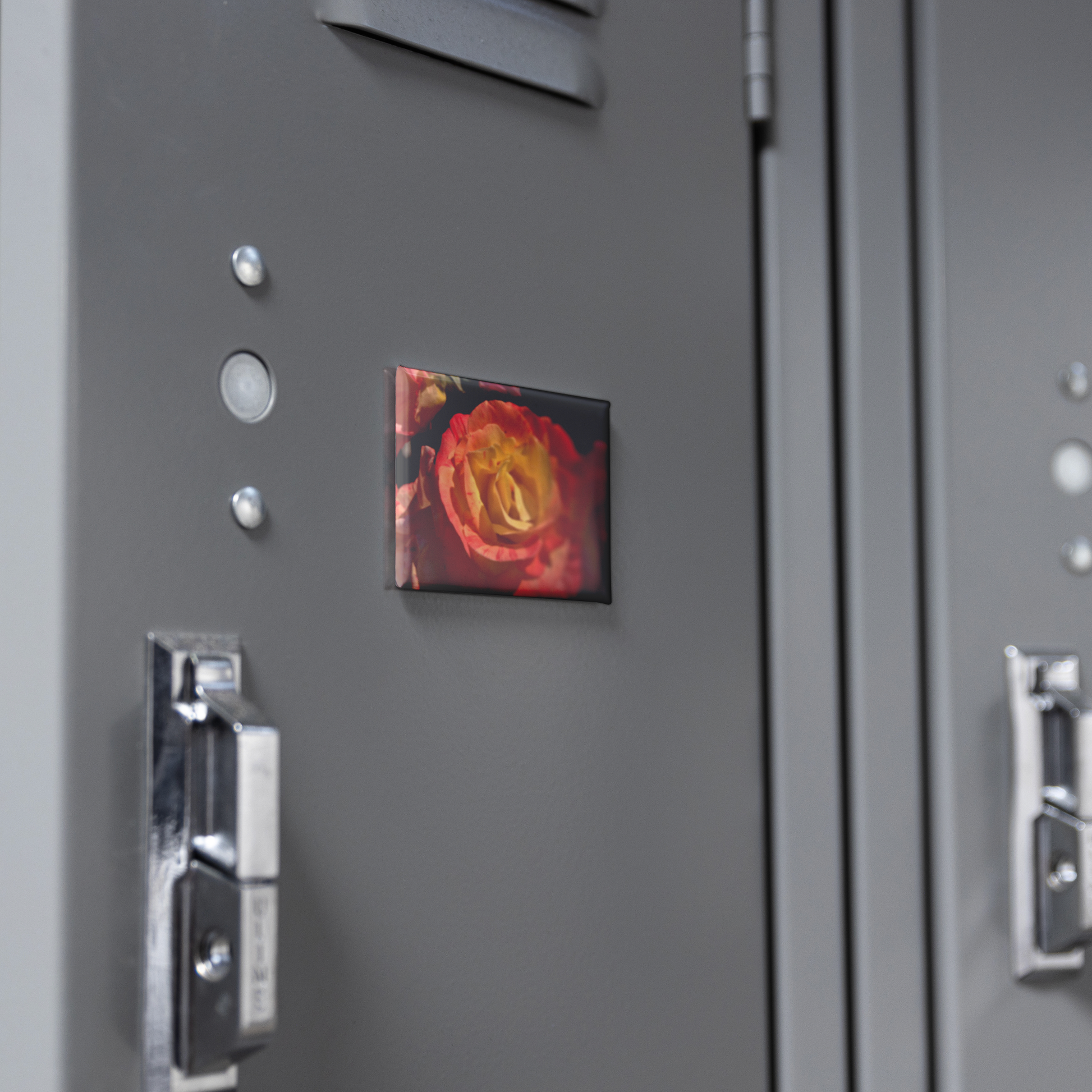 Close-Up_of_Warm_Sunset_Rose_Rectangula_RectangleButtonMagnet_H_Locker_Mockup.png