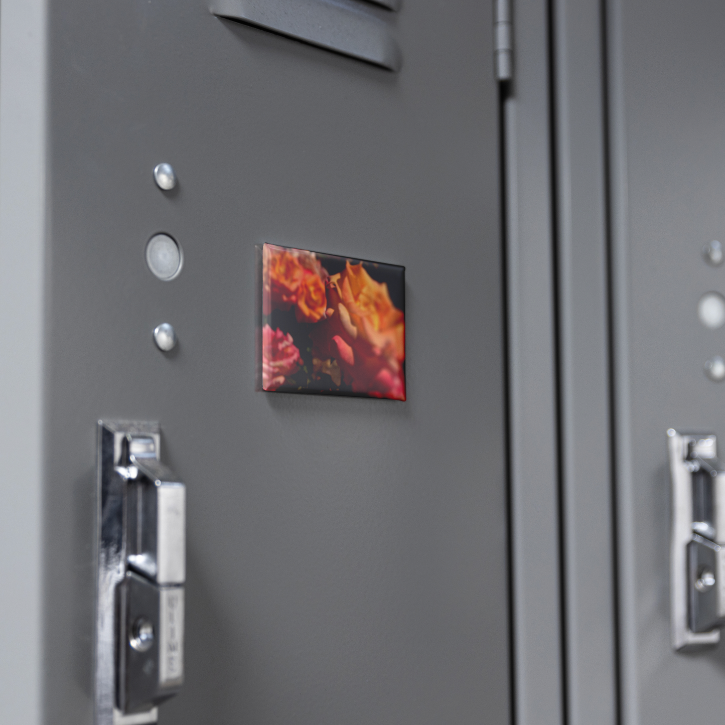Cluster_of_Sunset-Toned_Blush_Roses_Rec_RectangleButtonMagnet_H_Locker_Mockup.png