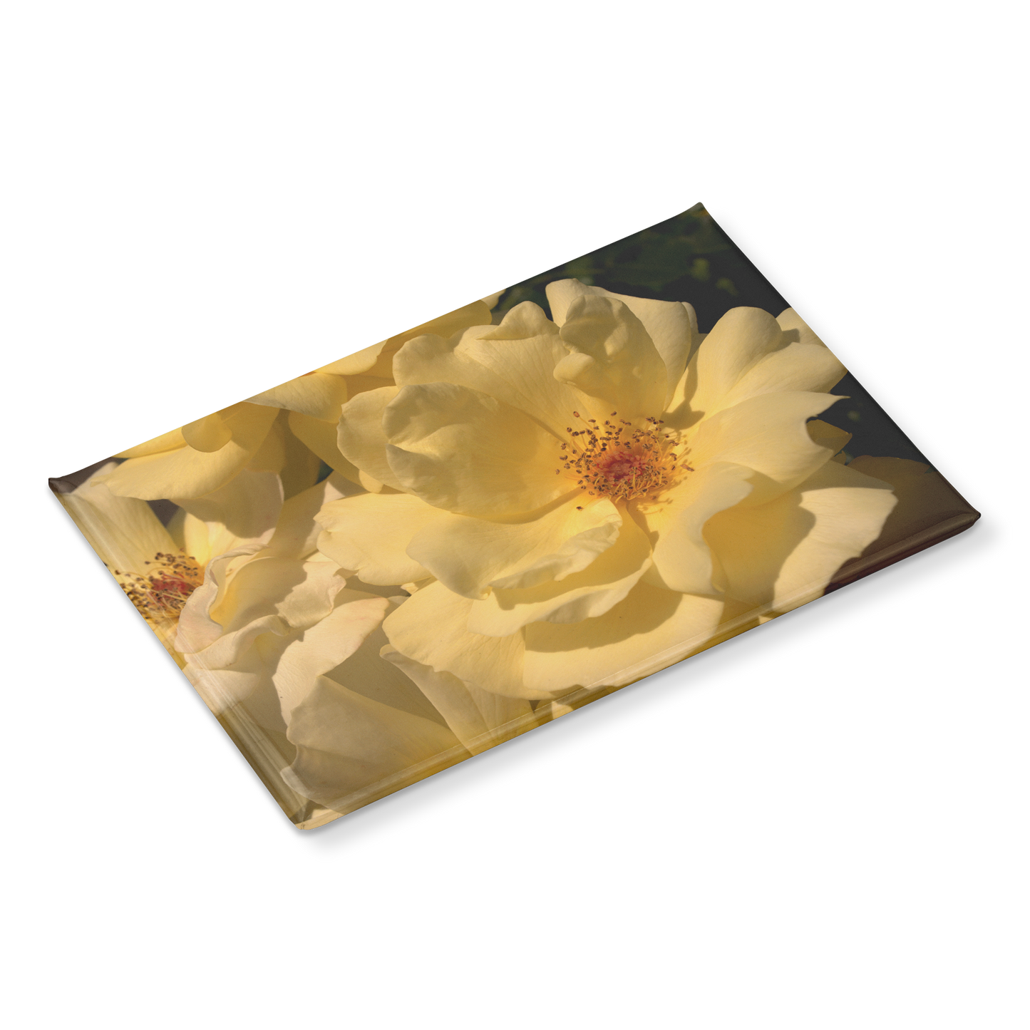 Creamy_Yellow_Roses_in_Soft_Lighting_Re_RectangleButtonMagnet_H_Angle_Mockup.png