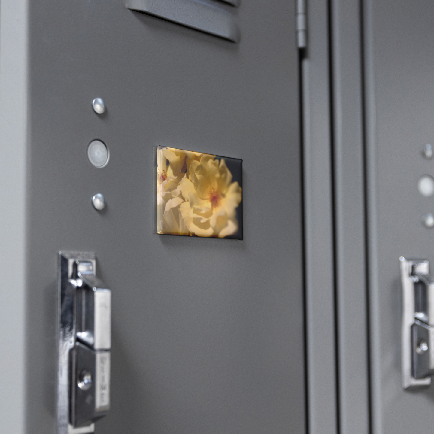 Creamy_Yellow_Roses_in_Soft_Lighting_Re_RectangleButtonMagnet_H_Locker_Mockup.png