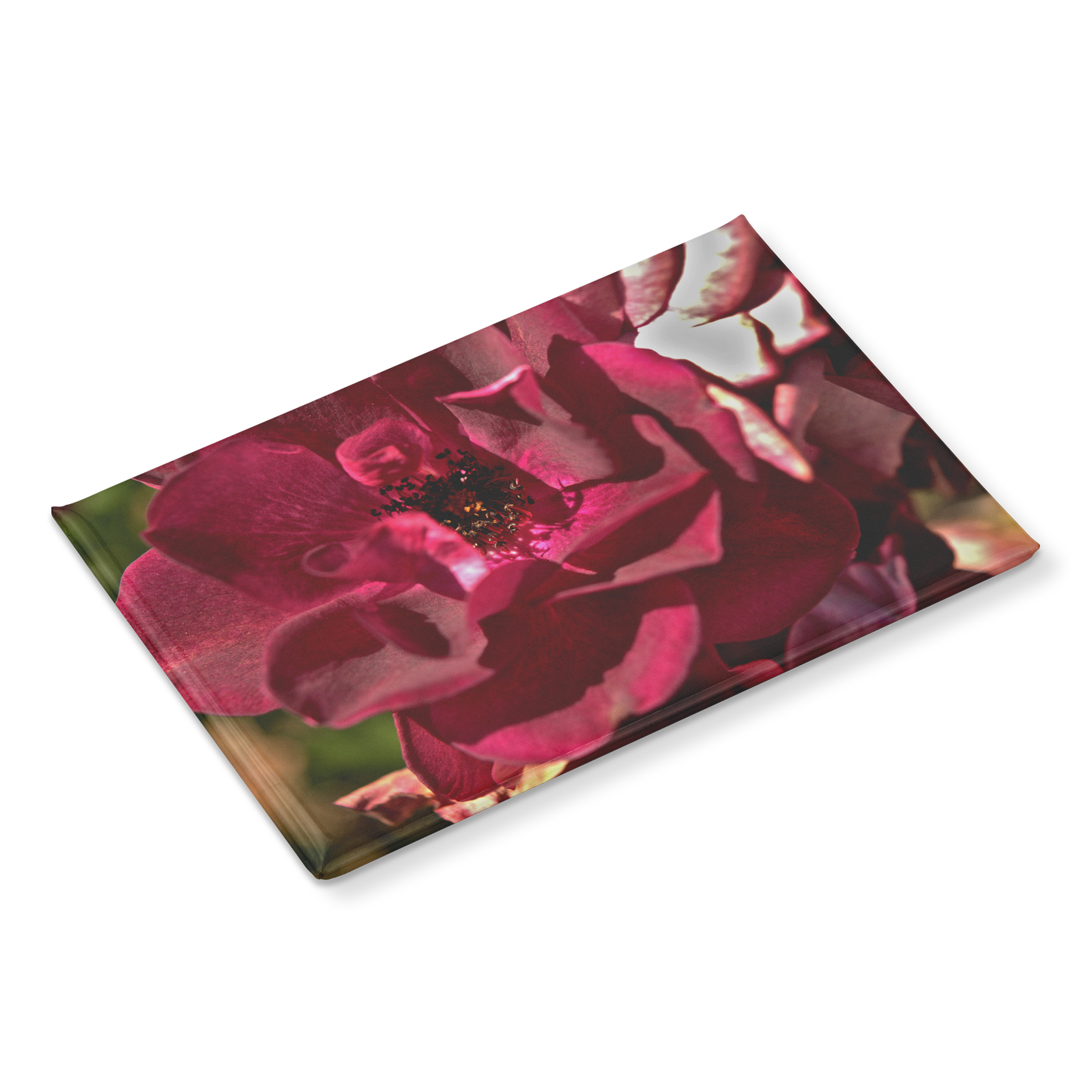 Deep_Burgundy_Rose_Close-Up_Rectangular_RectangleButtonMagnet_H_Angle_Mockup.png