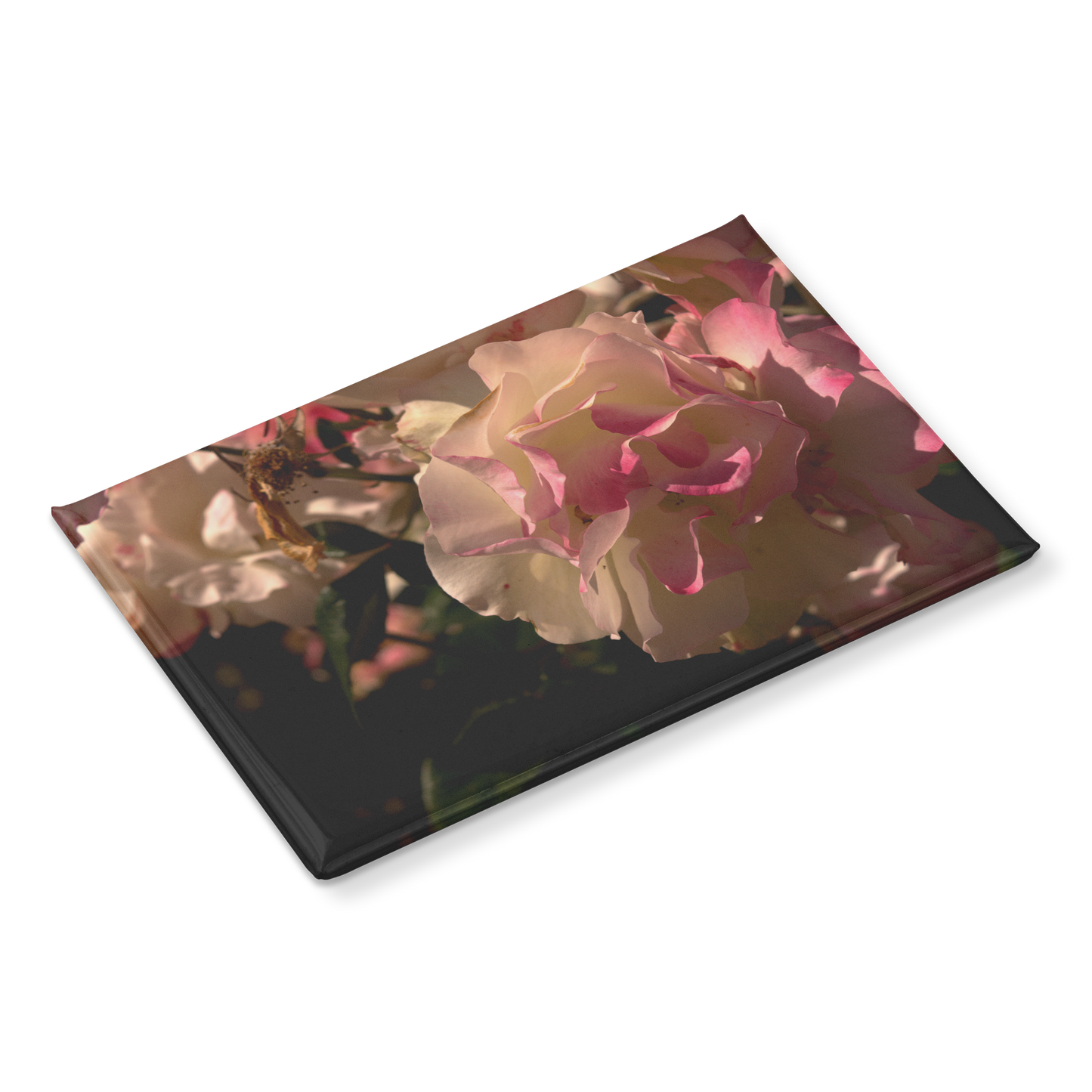 Delicate_Cream_and_Pink_Roses_in_Morning_RectangleButtonMagnet_H_Angle_Mockup.png
