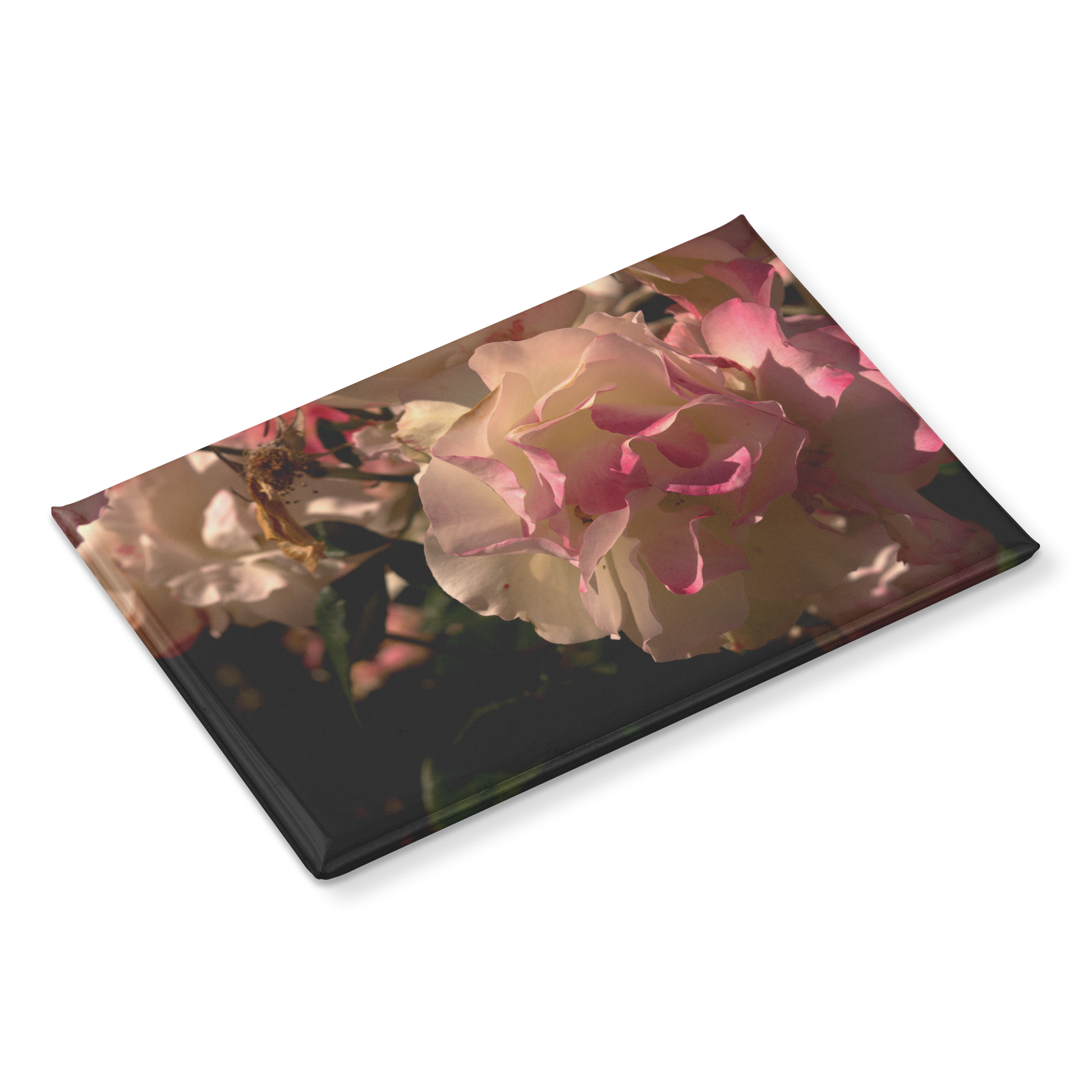 Delicate_Cream_and_Pink_Roses_in_Morning_RectangleButtonMagnet_H_Angle_Mockup.png