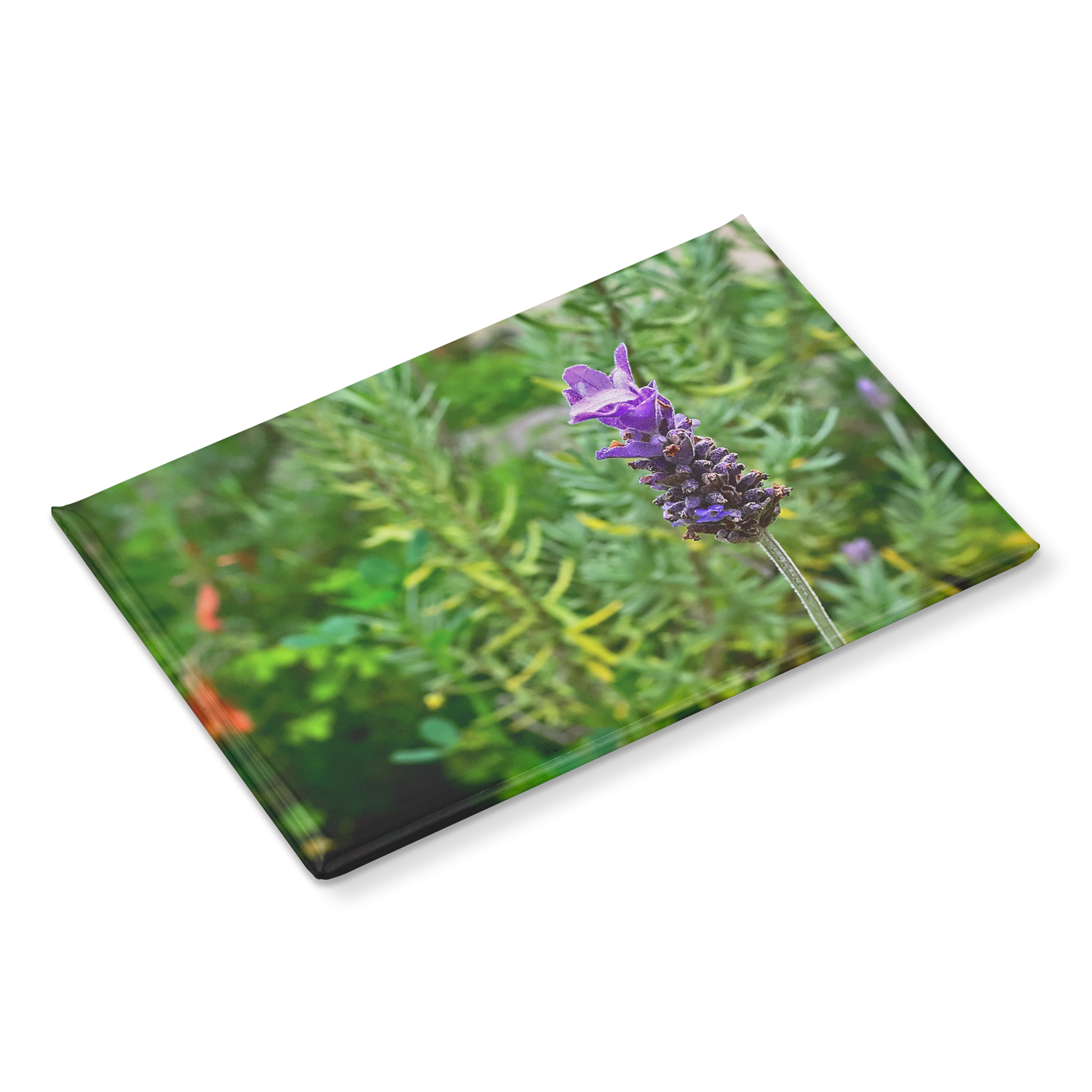 Delicate_Lavender_Bloom_Against_Garden_B_RectangleButtonMagnet_H_Angle_Mockup.png