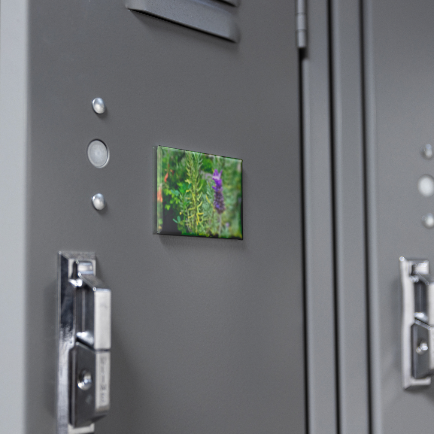 Delicate_Lavender_Bloom_Against_Garden_B_RectangleButtonMagnet_H_Locker_Mockup.png