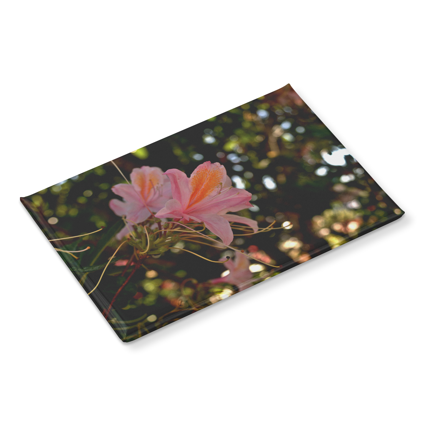 Delicate_Pink_Azaleas_with_Golden_Accent_RectangleButtonMagnet_H_Angle_Mockup.png