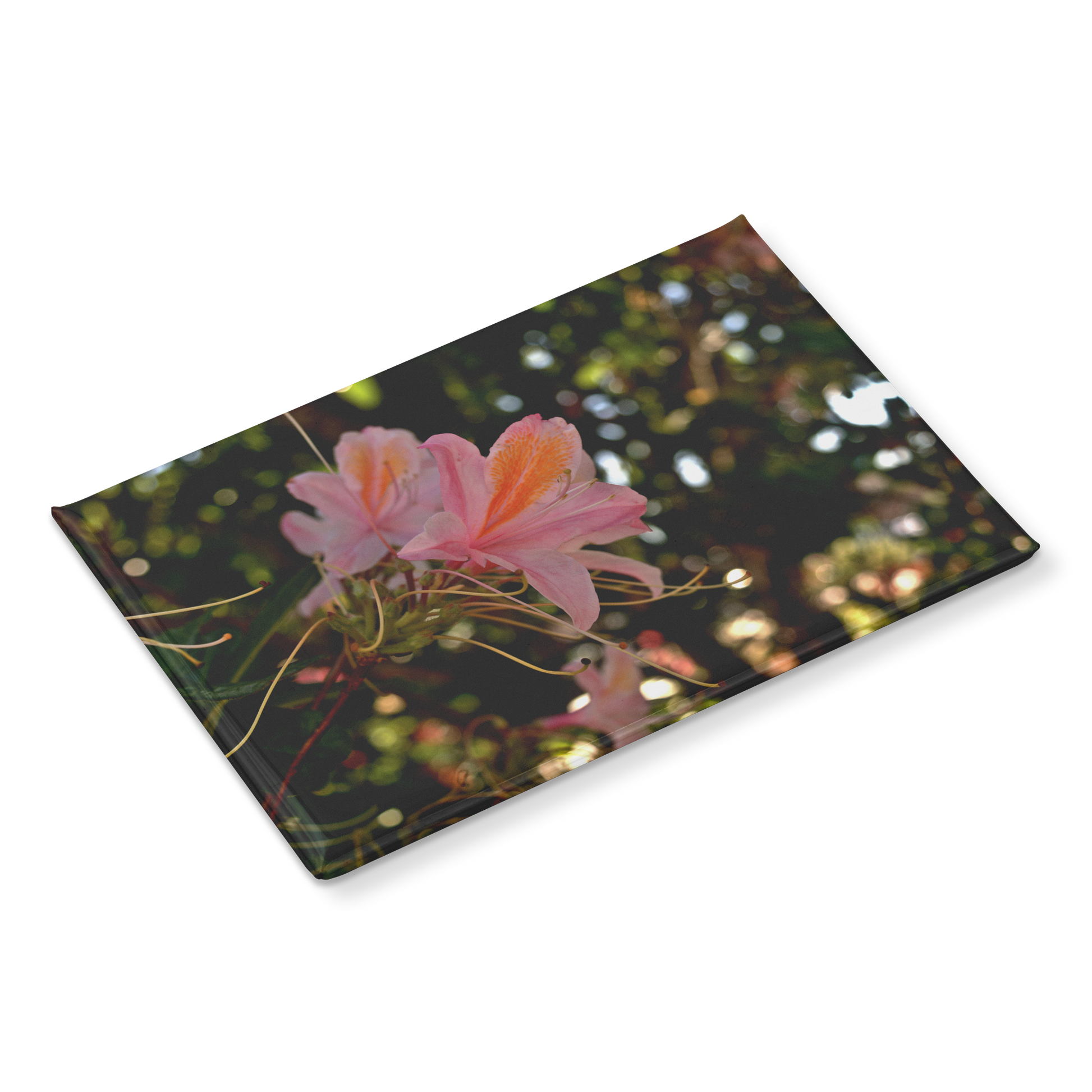 Delicate_Pink_Azaleas_with_Golden_Accent_RectangleButtonMagnet_H_Angle_Mockup.png