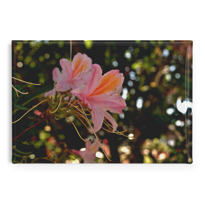 Delicate_Pink_Azaleas_with_Golden_Accent_RectangleButtonMagnet_H_Main_AS_Mockup.png