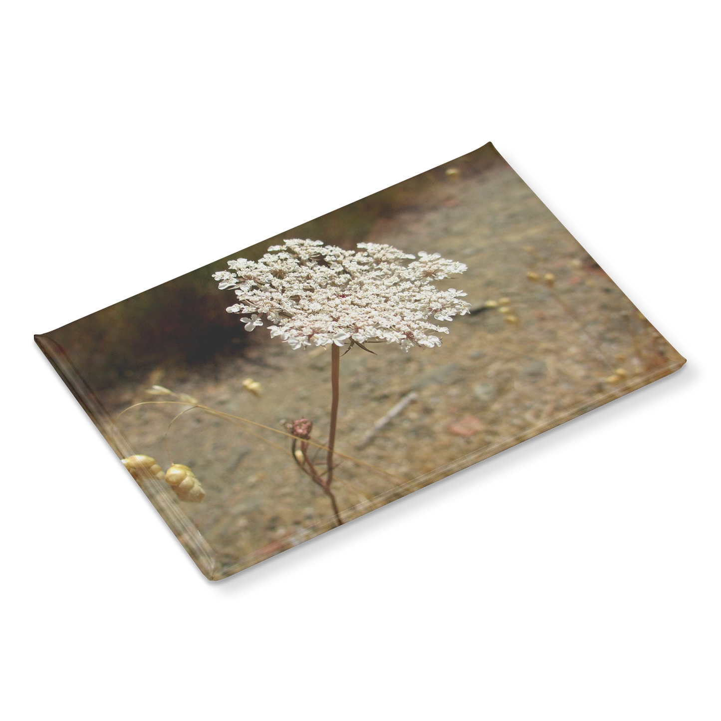 Delicate_Queen_Annes_Lace_Rectangular__RectangleButtonMagnet_H_Angle_Mockup.png